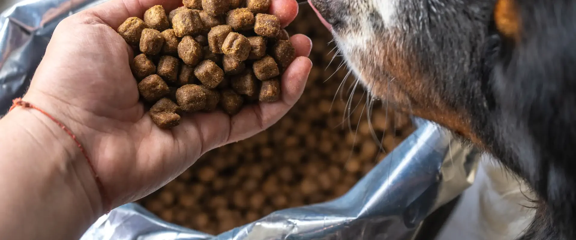ração vencida faz mal
